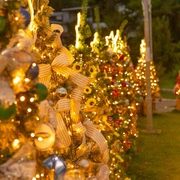 Natal de Luzes em Campos do Jordão