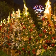 Natal de Luzes em Campos do Jordão