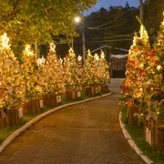 Natal de Luzes em Campos do Jordão