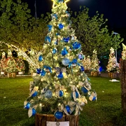 Natal de Luzes em Campos do Jordão